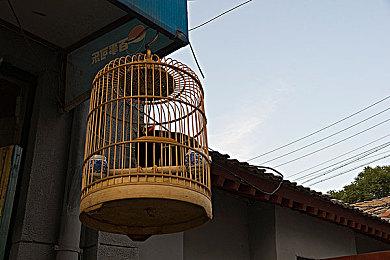 您的《赦免者》新手攻略到啦！请查收！